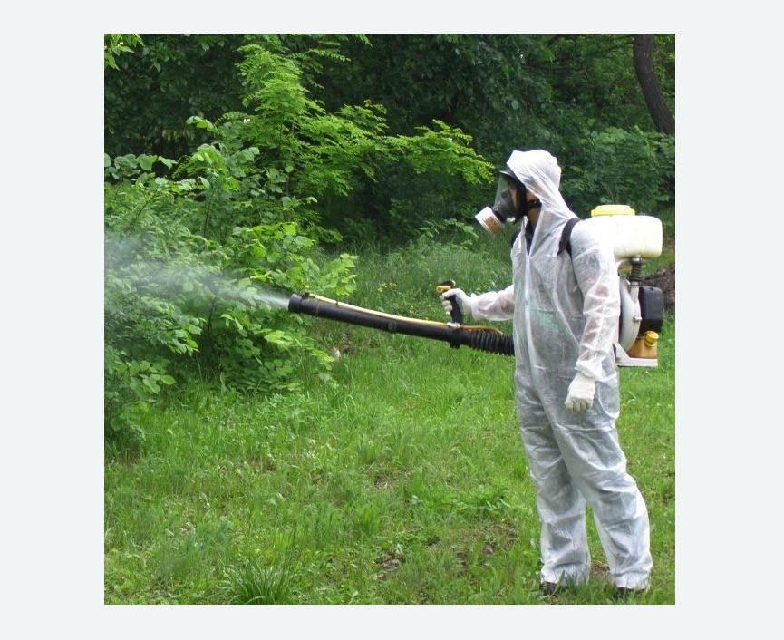 обработка территории от клещей в Ленинске