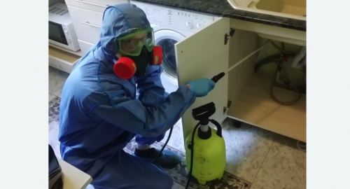 Уничтожение муравьев в квартире. Ленинск