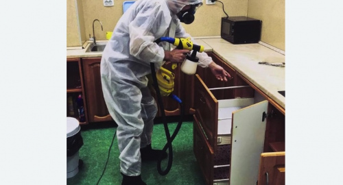 Дезинсекция квартиры. Ленинск