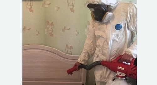 Уничтожение клещей в квартире. Ленинск