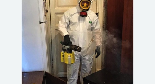 Дезинфекция от муравьев в квартире в Ленинске
