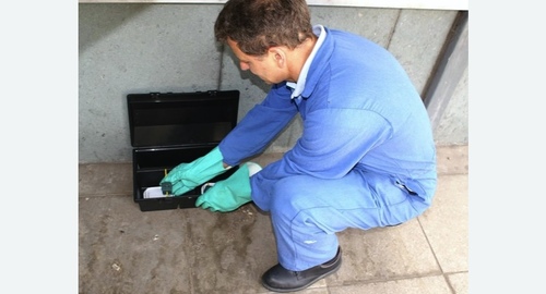 Уничтожение мышей. Ленинск