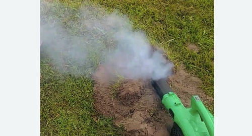 Обработка от кротов в Ленинске