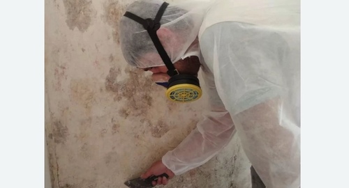 Обработка стен от плесени в Ленинске