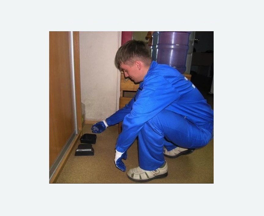 Дератизация крыс в Ленинске