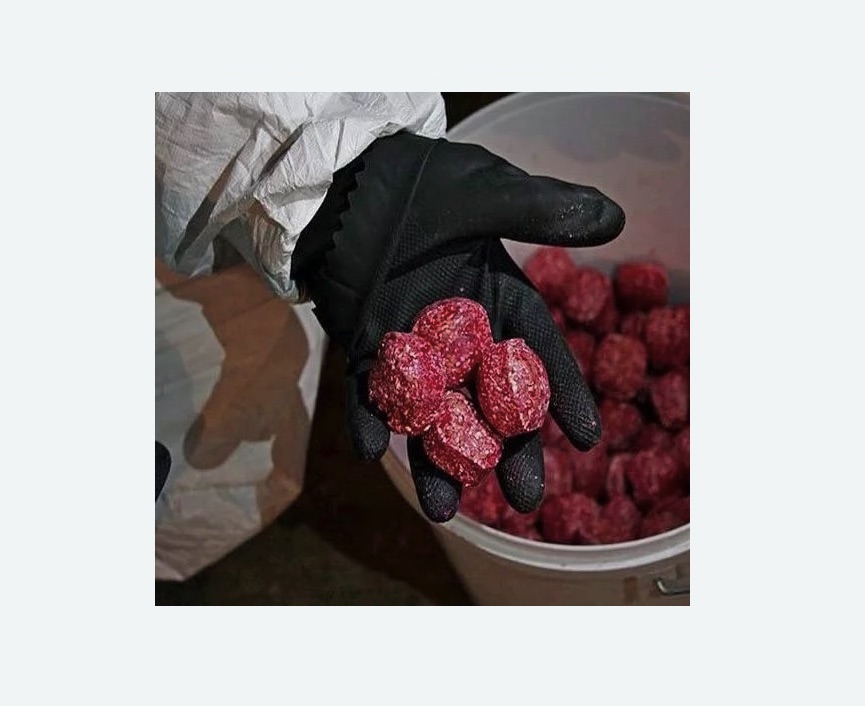 Обработка от крыс в Ленинске