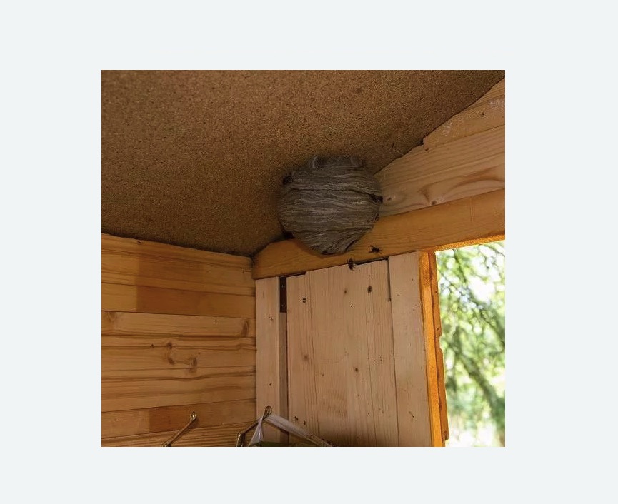 Обработка от ос в Ленинске Обработка от ос