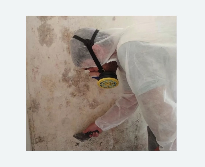 Обработка стен от плесени в Ленинске