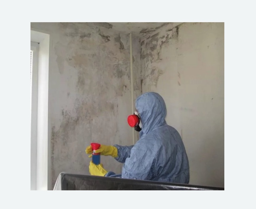Удаление плесени в квартире в Ленинске