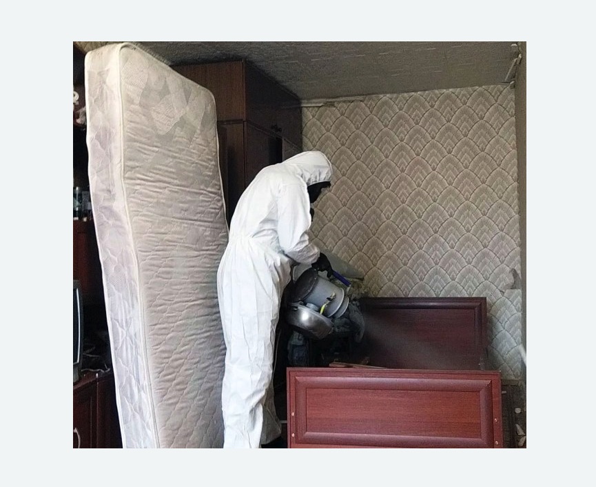 дезинфекция от клопов в Ленинске