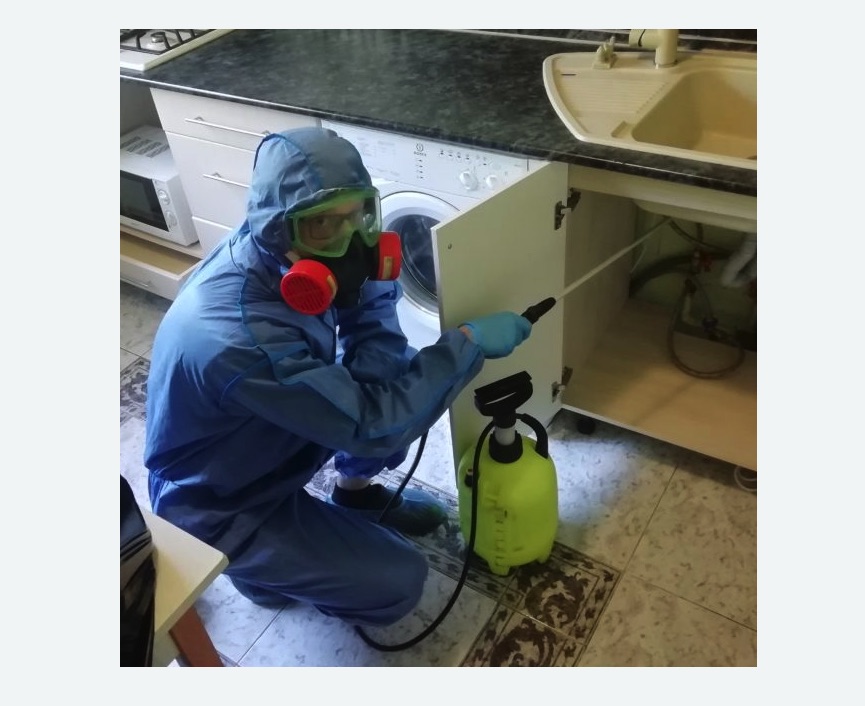 обработка от муравьев в квартире в Ленинске