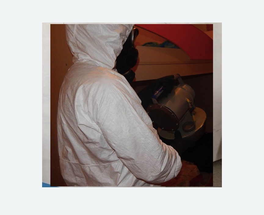 Дезинфекция от муравьев в Ленинске