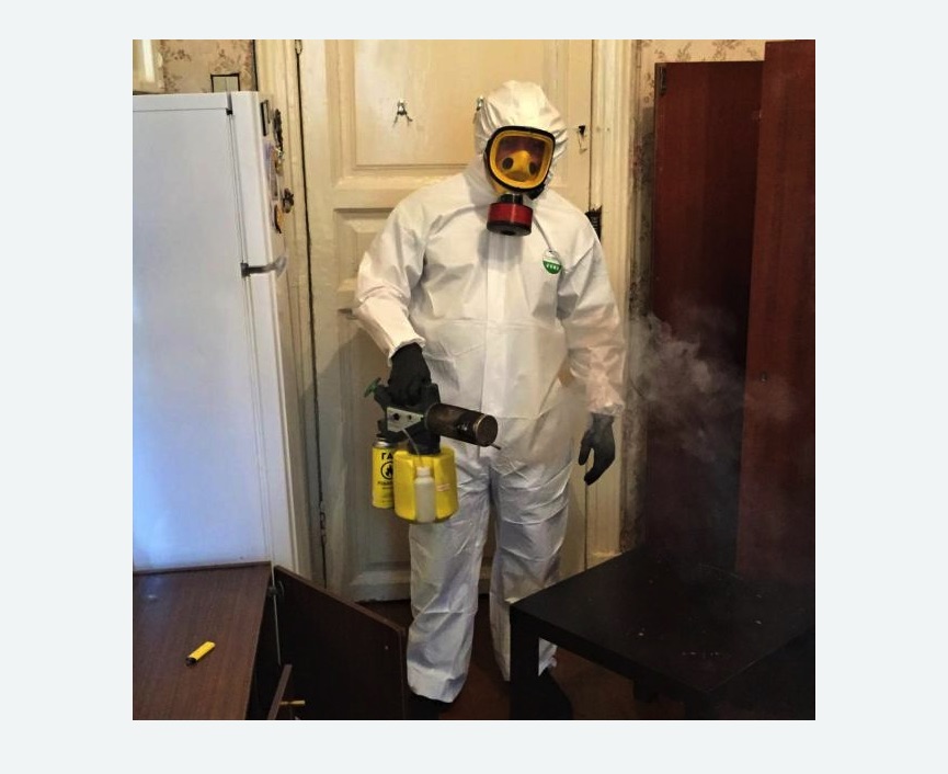 уничтожение муравьев в квартире в Ленинске